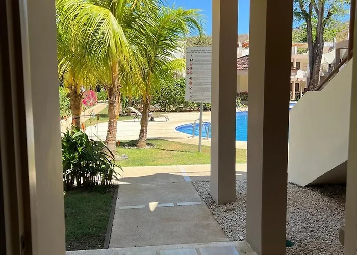 Dreams - 60 Meters From Coco
